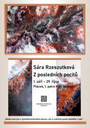 foto - Výstava / Sára Rzeszutková – Z posledních pocitů