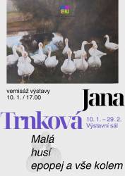 foto - JANA TRNKOVÁ –⁠ Malá husí epopej a vše kolem