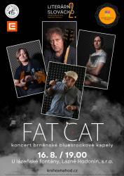 foto - Fat Cat – Koncert