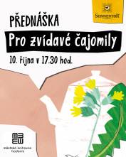 foto - Exkurze pro zvídavé čajomily s Miroslavou Kubáčkovou – Týden knihoven