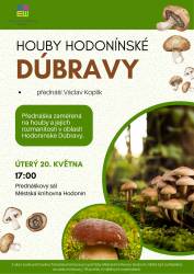 foto - Houby Hodonínské Dúbravy