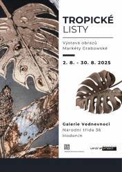 foto - Tropické listy – hra struktur a barev - Markéta Grabowská
