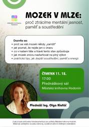 foto - Mozek v mlze: Proč ztrácíme mentální jasnost, paměť a soustředění