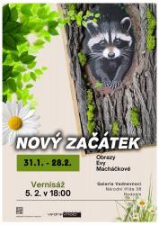 foto - Nový začátek/ Eva Macháčková