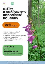 foto - Mečíky a další skvosty Hodonínské Doubravy – Hodonínské dny pro klima